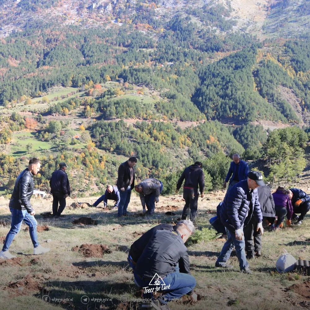 2024: AKP planting, photos AKP