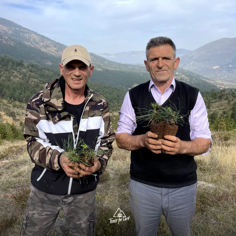 2024: Dragot and Abaz