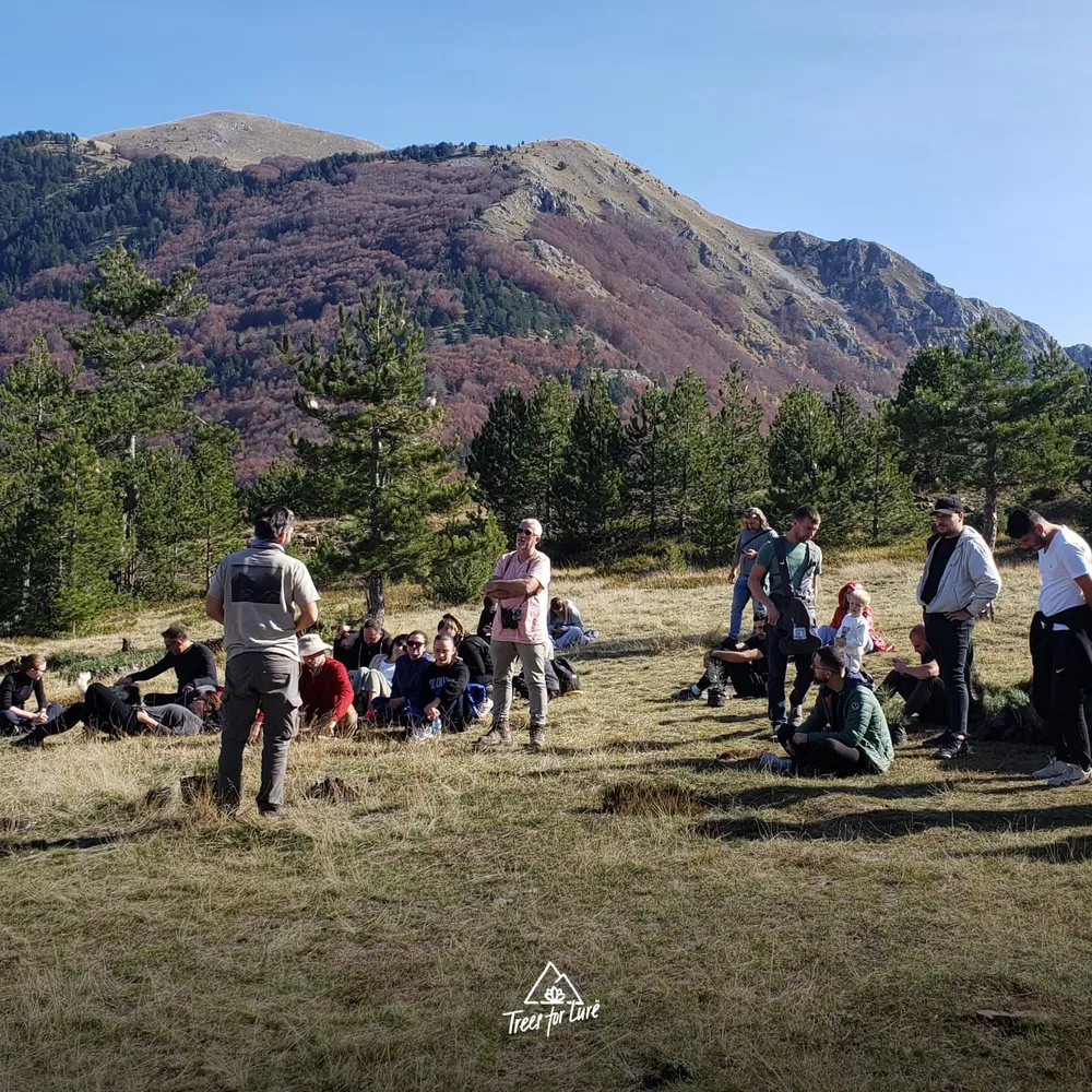 2024: 2024: AOS at the planting area