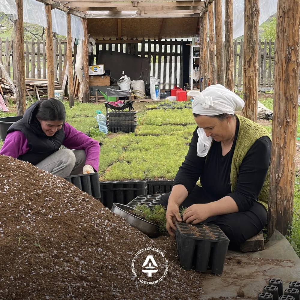 Cleaning and disinfecting BCC HIKO V120SS for seed planting