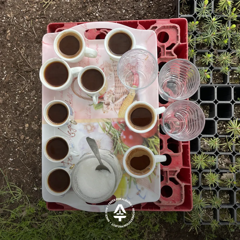 Cleaning and disinfecting BCC HIKO V120SS for seed planting