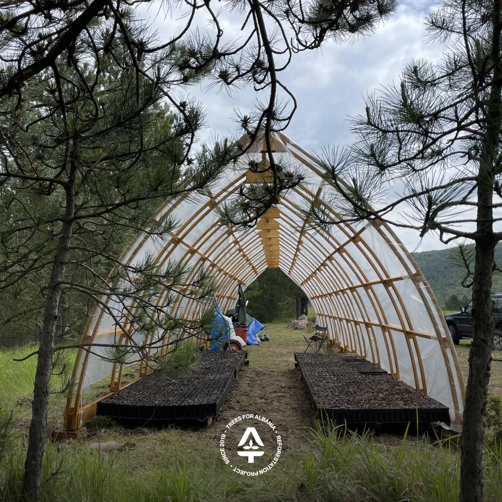 First seeds planted in the Voskopojë’s tree nursery