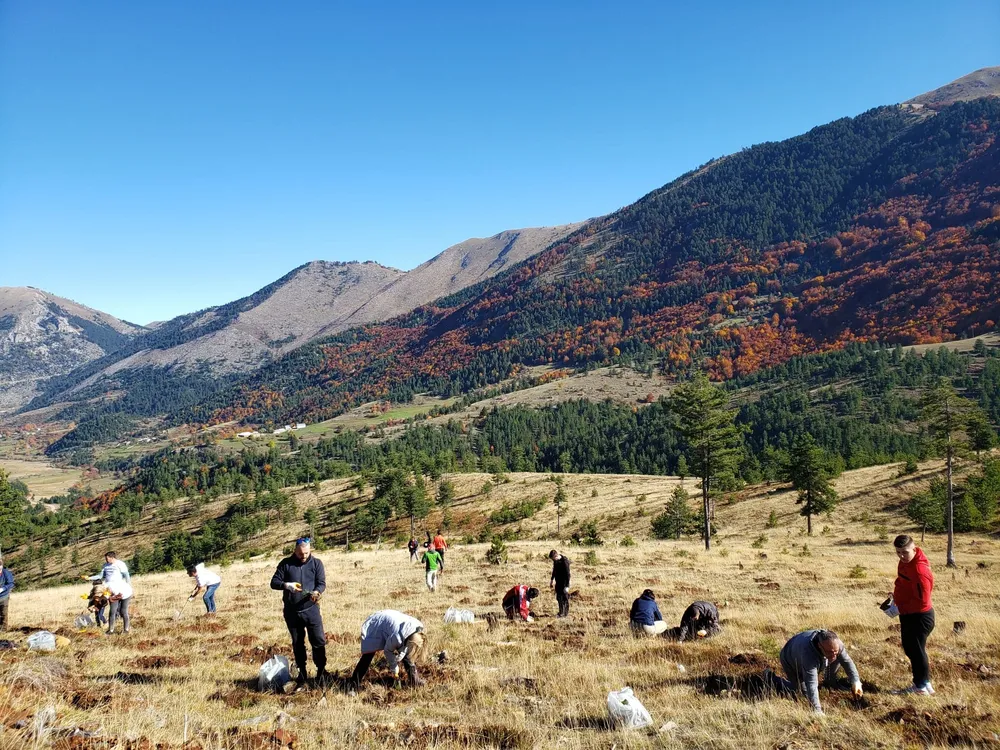 2021 Autumn: Volunteers planting the first 2,712 trees in Lurë