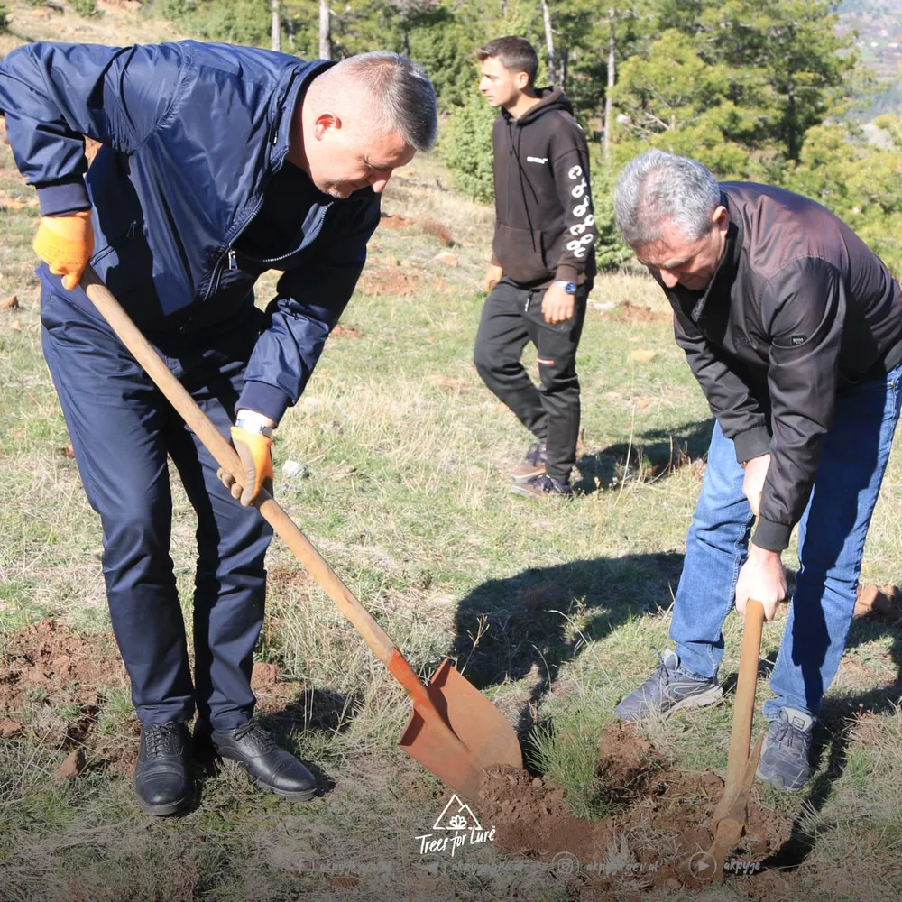 2024: AKP planting, photos AKP