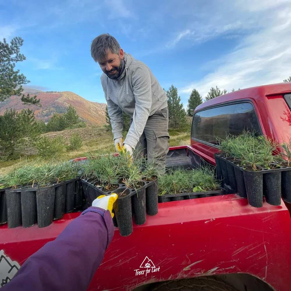 2024: Transporting saplings in containers