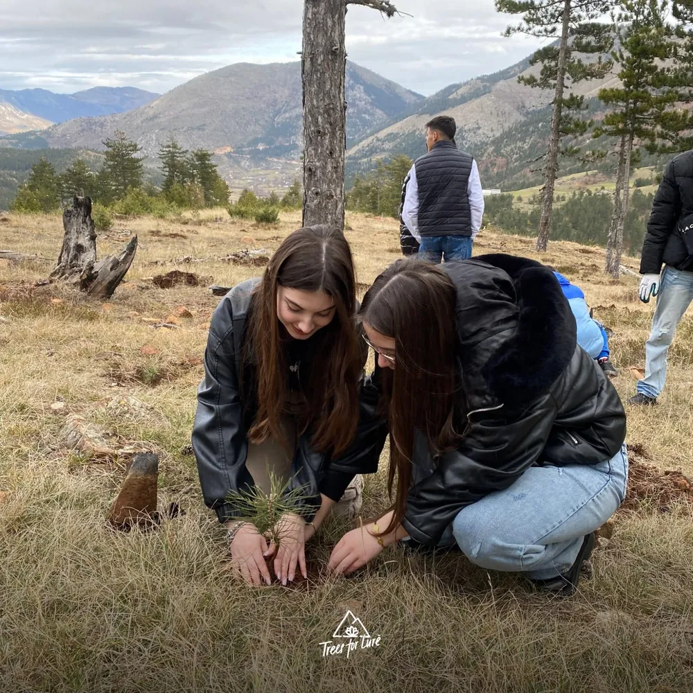 2024: Terre des Hommes planting