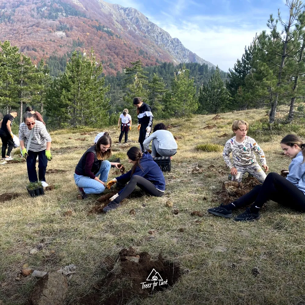 2024: Bukurie and Qamil