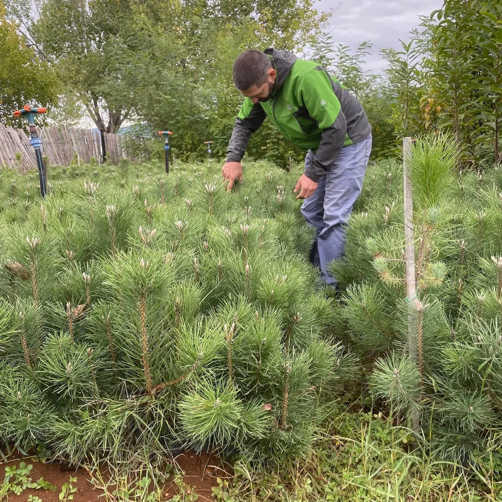 2 year, consistent growth