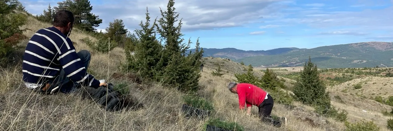 SOIL COVER AS DROUGHT MITIGATION