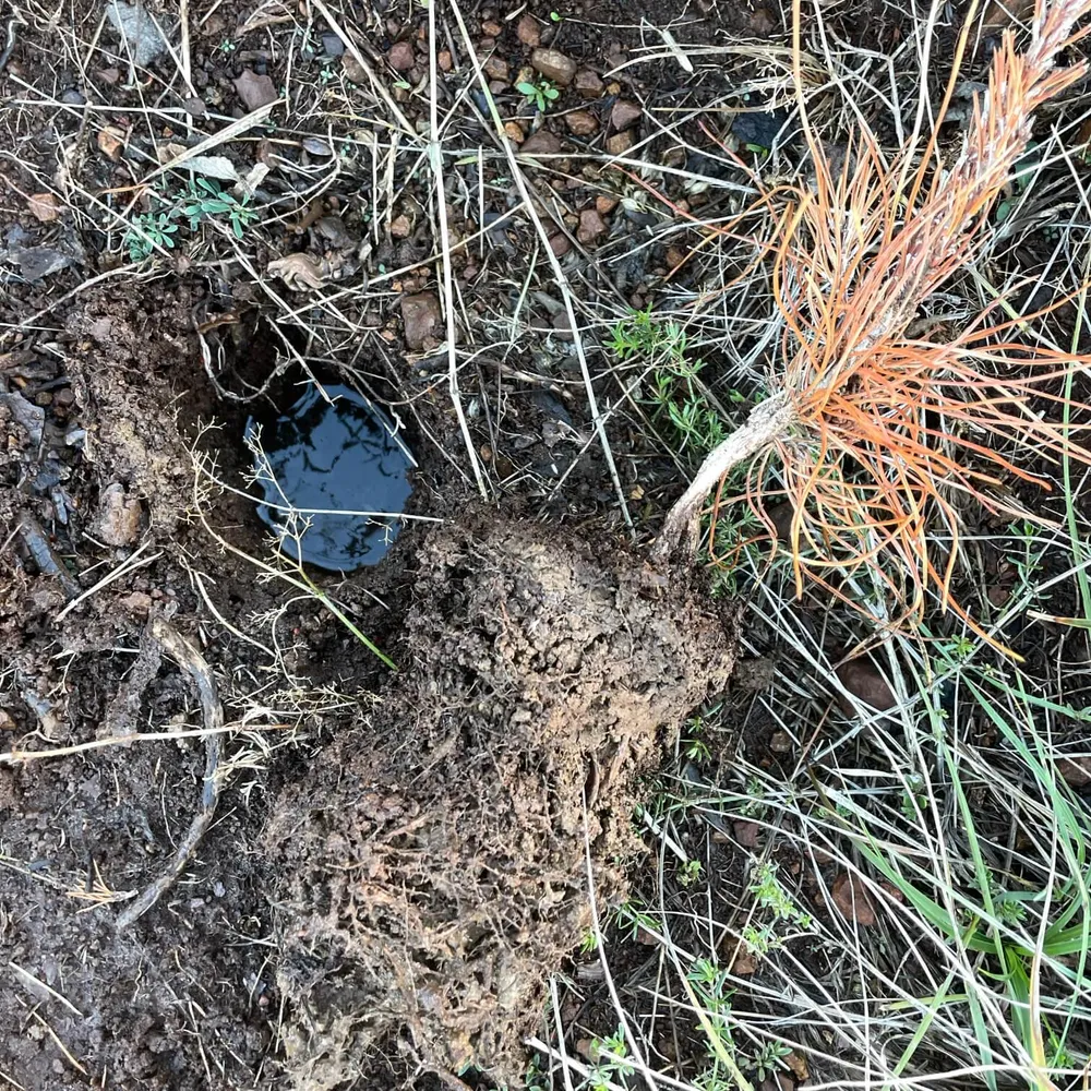 Excesive underground water level