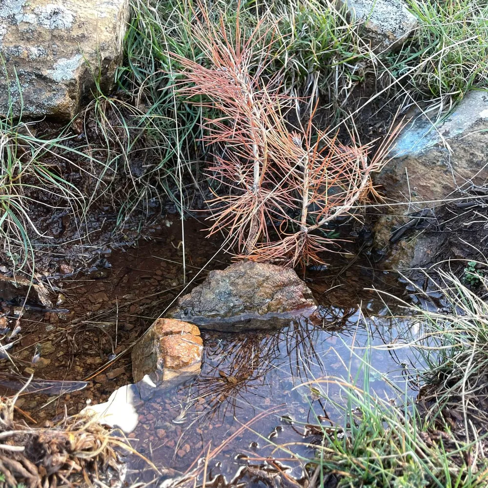 Inadequate drainage of the hole