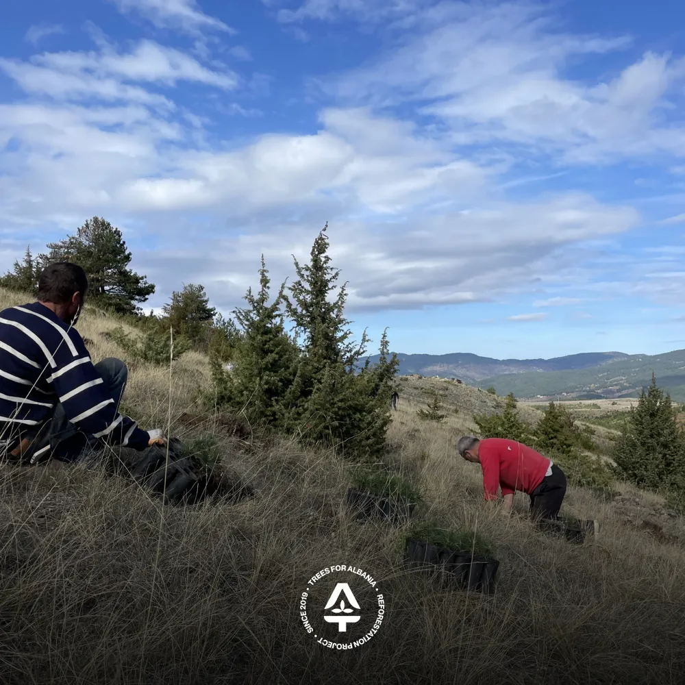 Janaq and Kasem and planting trees