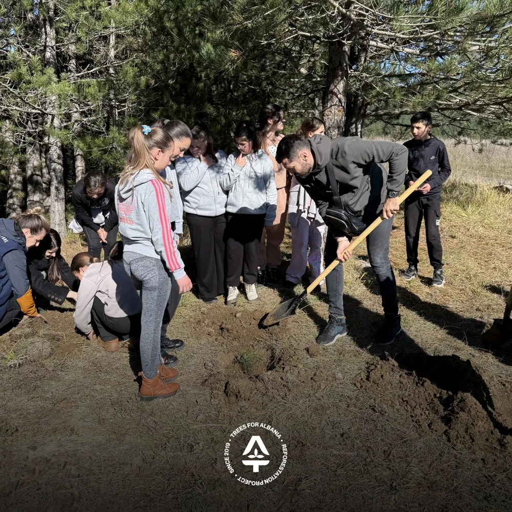 Demonstrating the right technique of planting trees