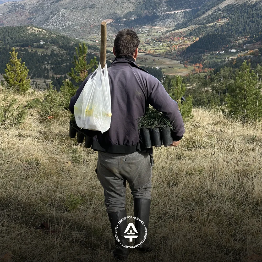 Abaz starting the work day, corrying trees and lunch
