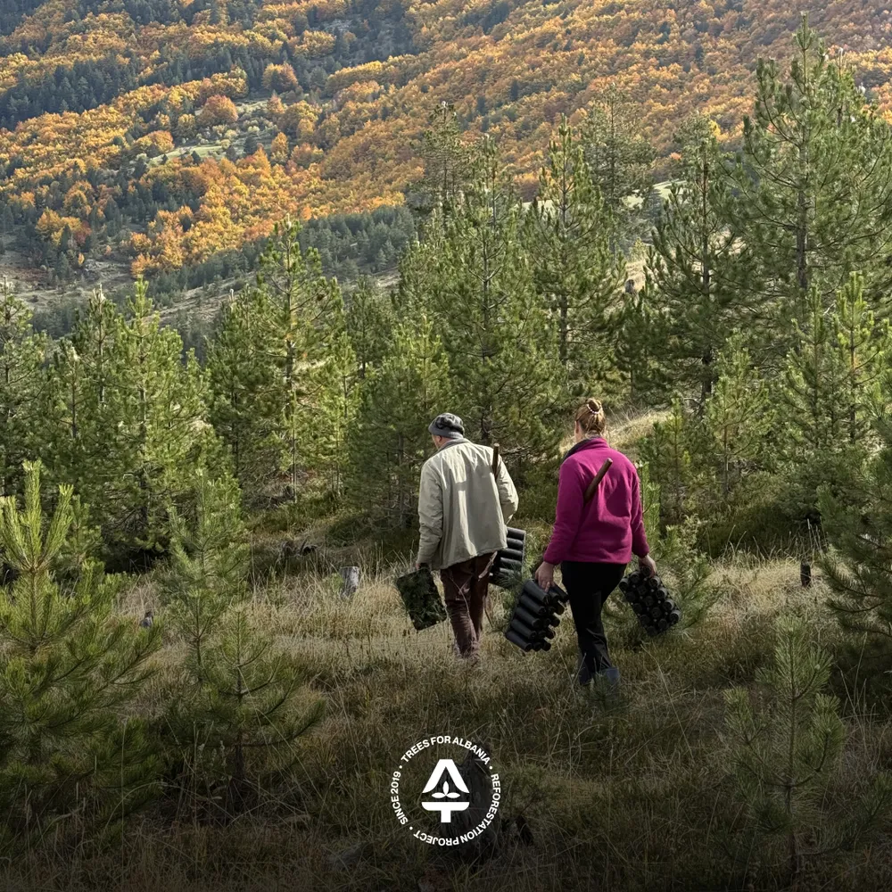 Adelina and Alket (husband and wife) starting the planting work day in Lurë