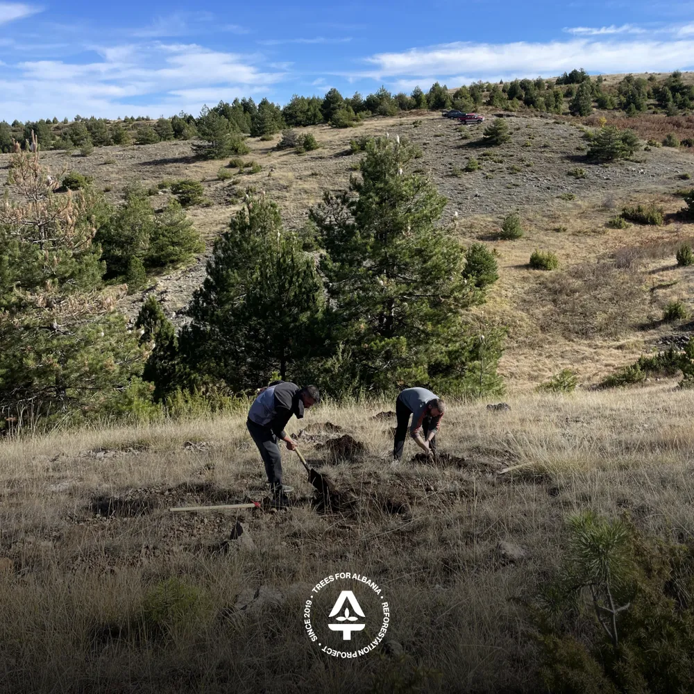Roland and Filo working as a team of two