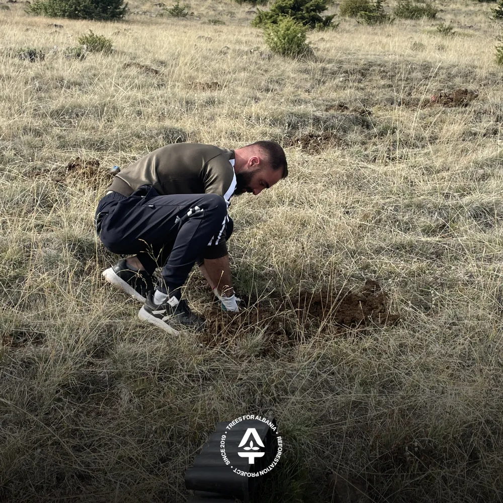 Filo planting trees in Voskopojë