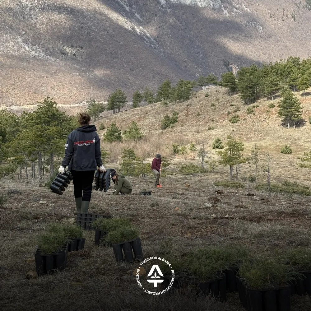 Women and the team prepping the terrain