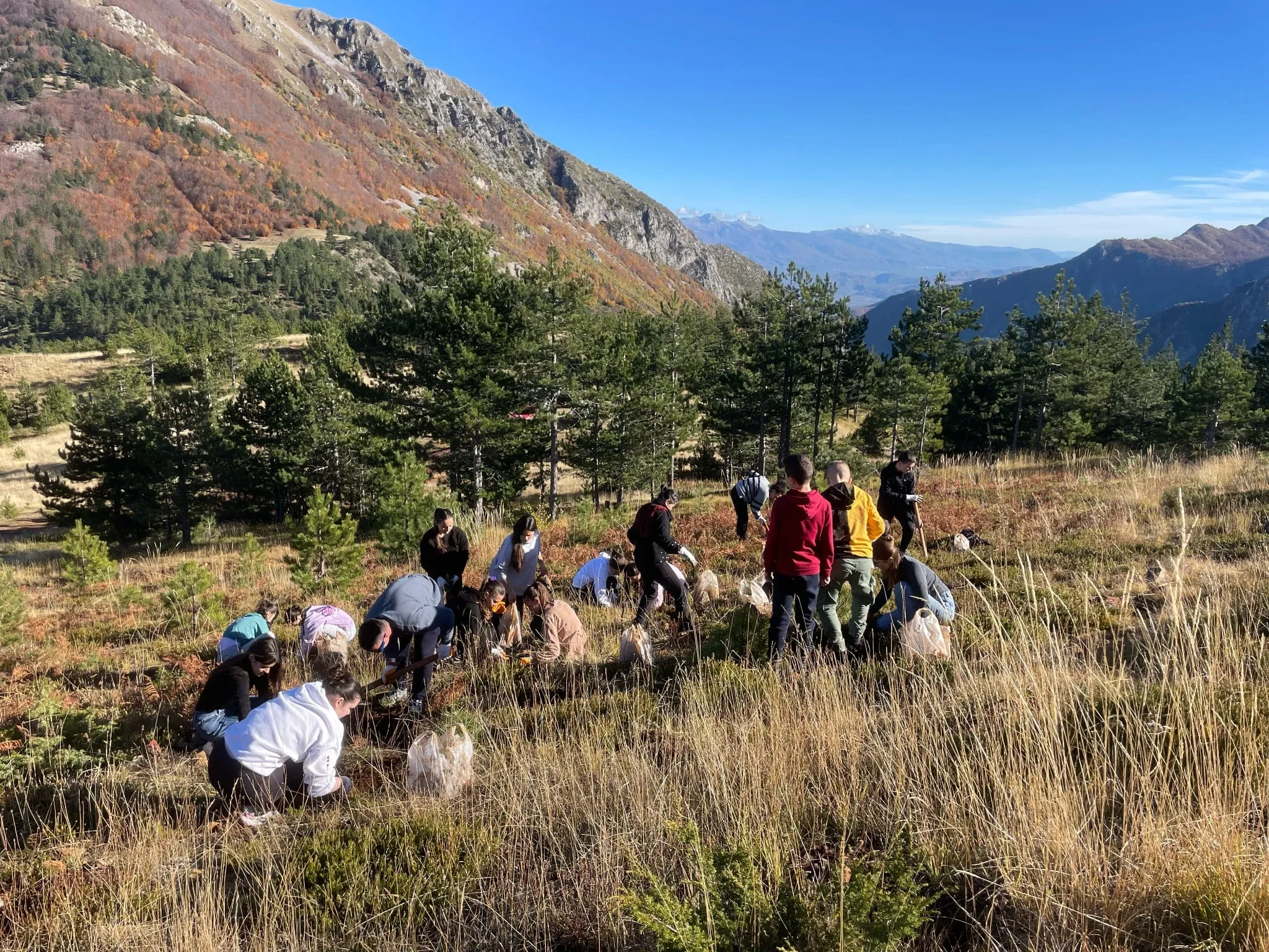 2023: Kids from “Nënë Tereza” school (Rrëshen) planting trees