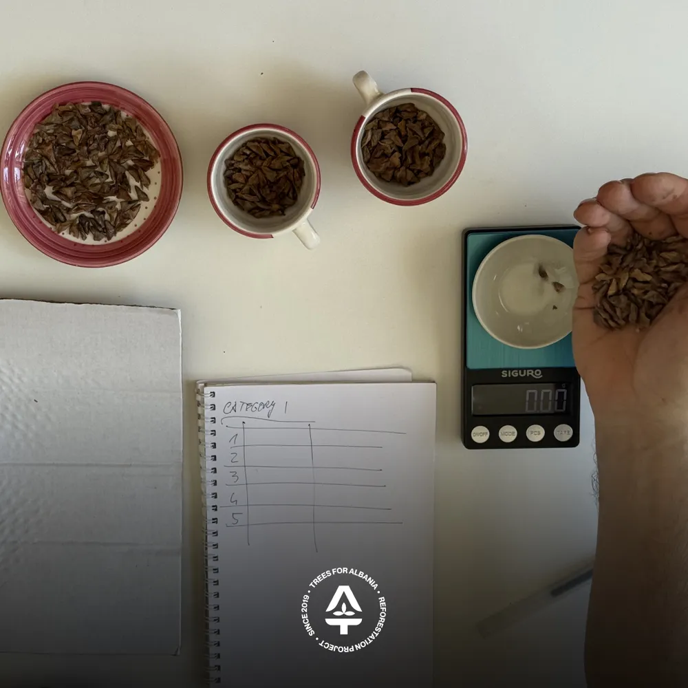 Sampling weighing each species and dividing into categories