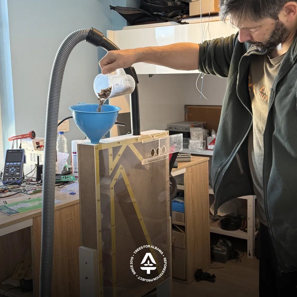 Silver fir seeds cleaning process with the cleaning machine