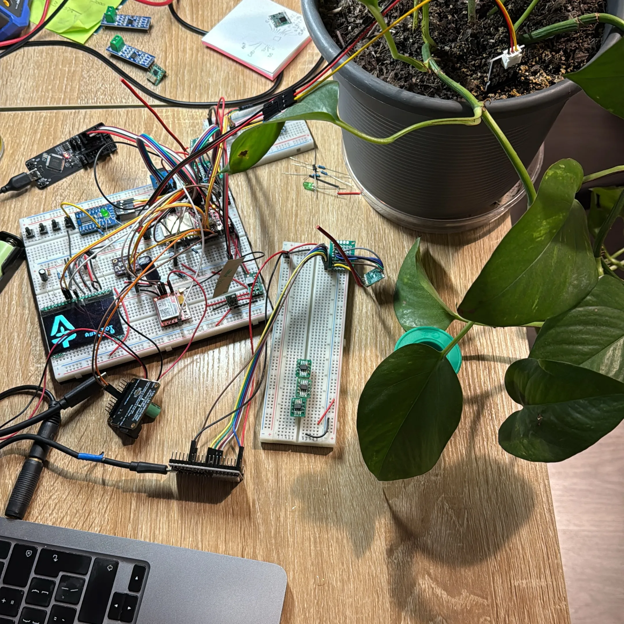 Technology & Innovation