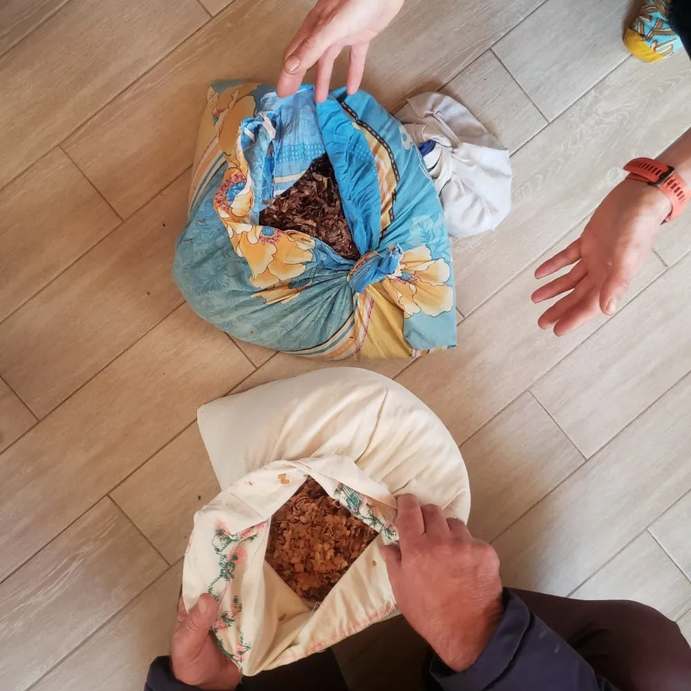 Picking up seeds from Lure