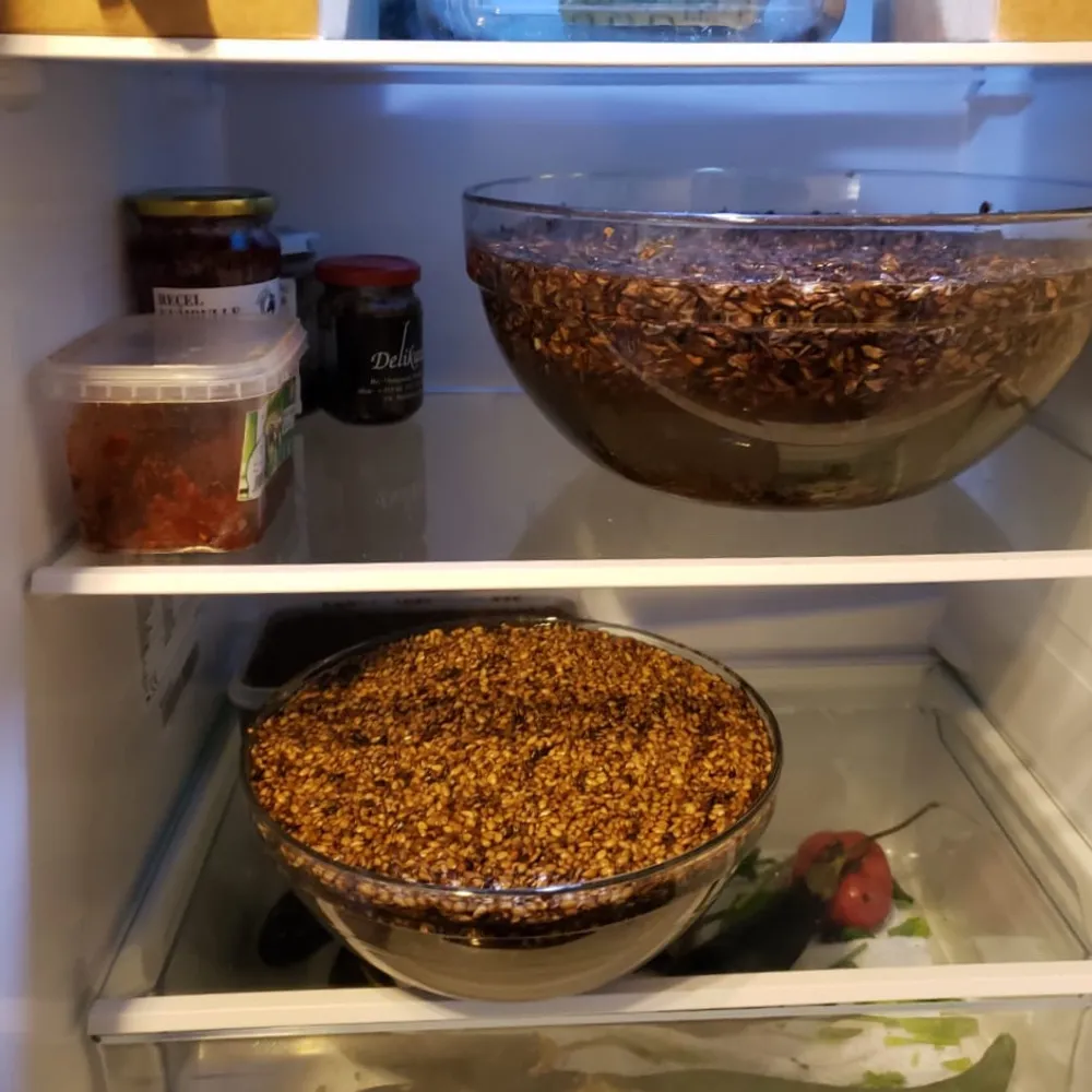 Soaking seeds for 24h