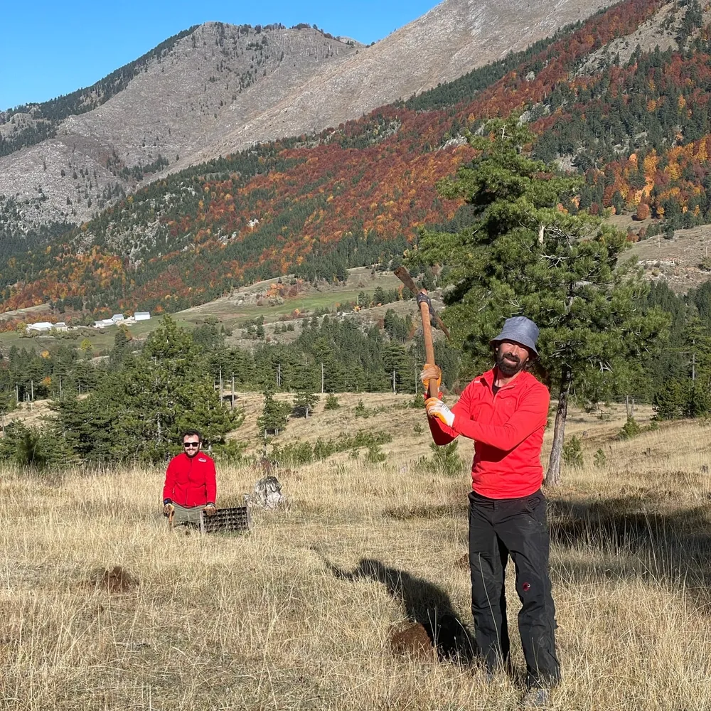 Dorjan, Ersan and kazma