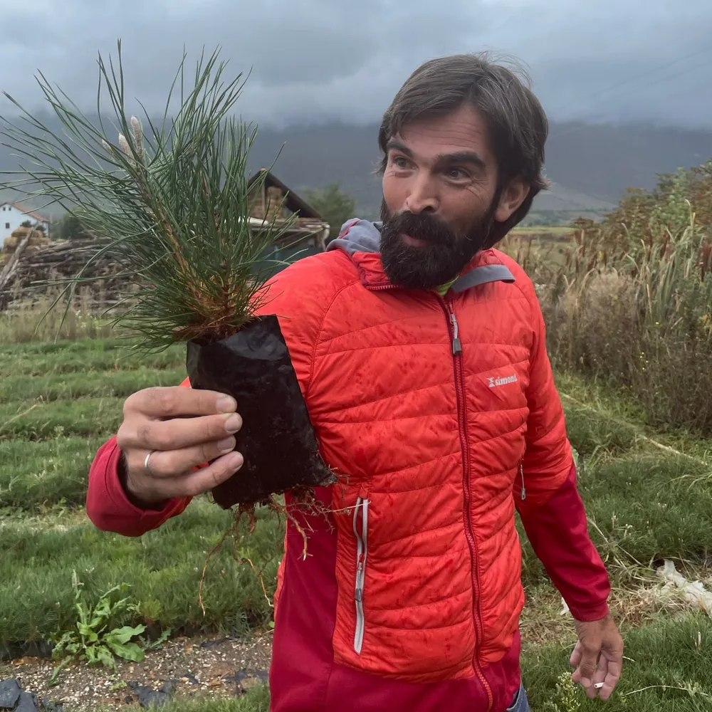 Visiting nurseries to find suitable trees