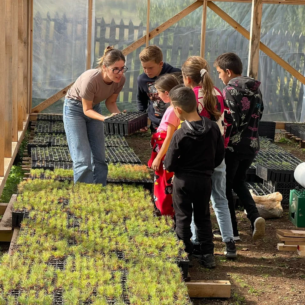 Lurë kids checking the difference between Abies alba and Pinus nigra saplings