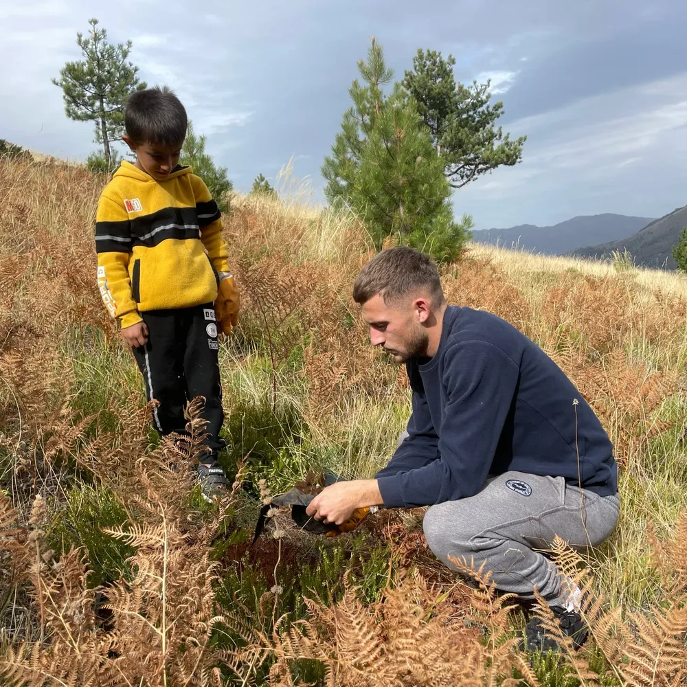 Daniel and one of the kids planting 2-year old pinus nigra tree