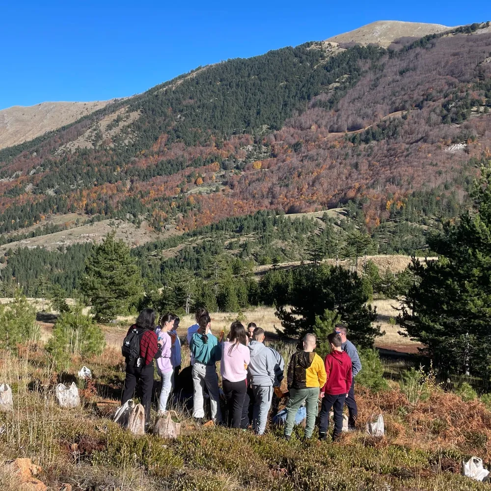 Training how to plant correctly at the planting area