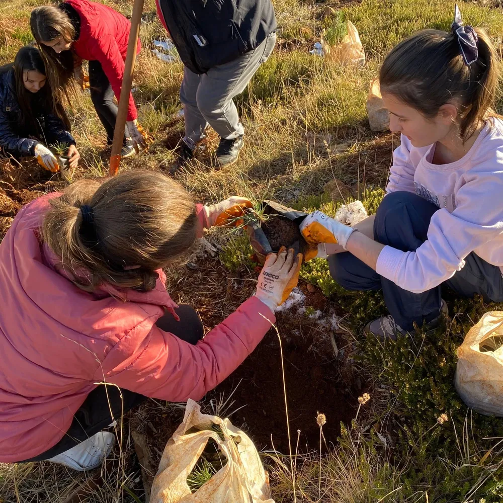 Peshkopi kids planting a 2-year old pinus nigra tree