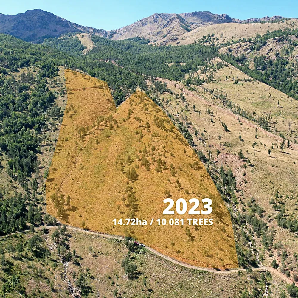 An aerial view of the 2023 planting area