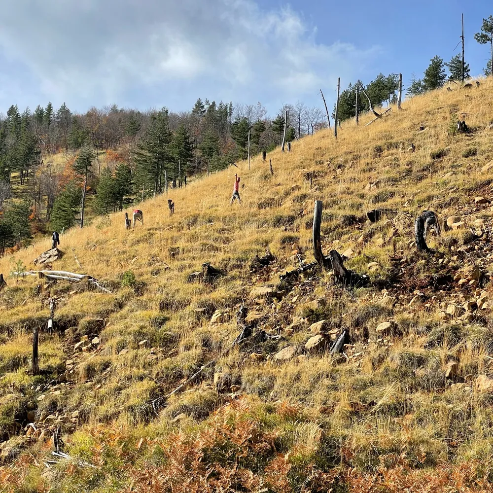 The 2023 area is steep, rocky terrain and with visible fire damage