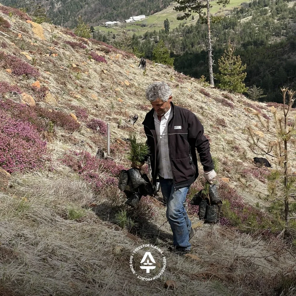 Team celebrating after planting