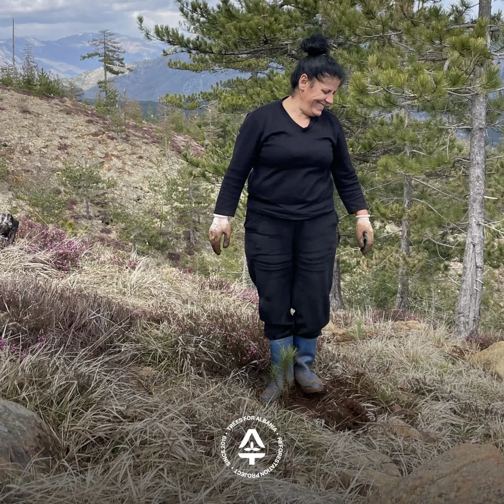 Team celebrating after planting