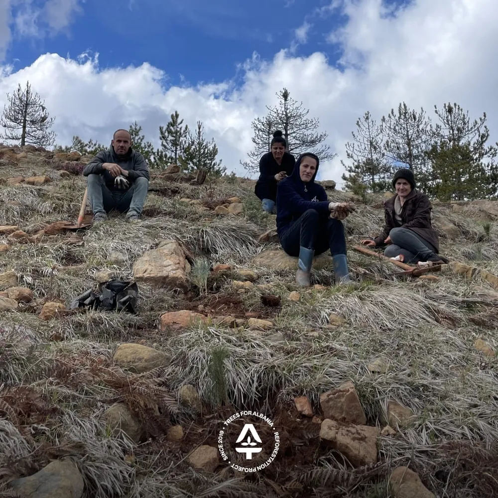 Planting trees in the rain