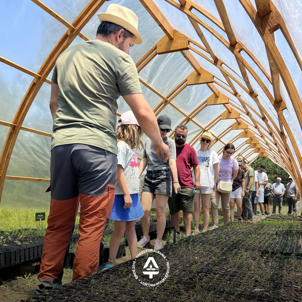 Showing the young trees in the nursery