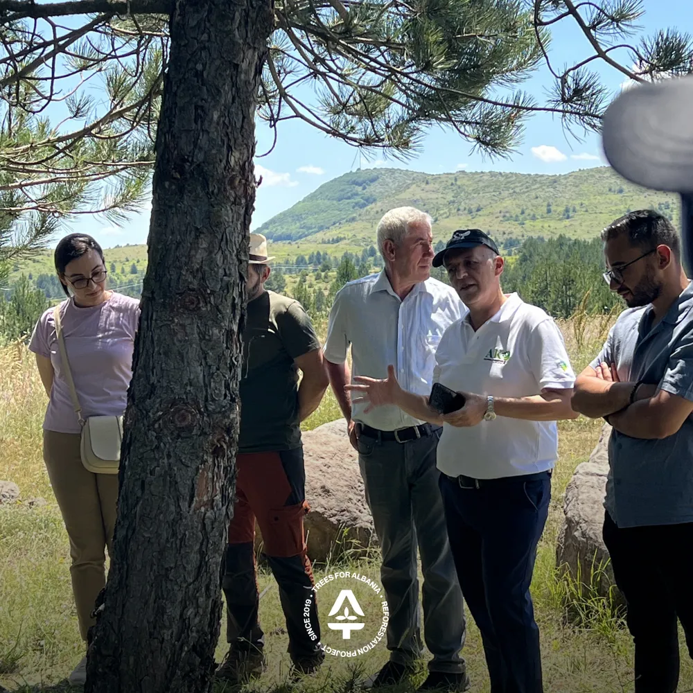 Kliti Starja, from National Forestry Agency