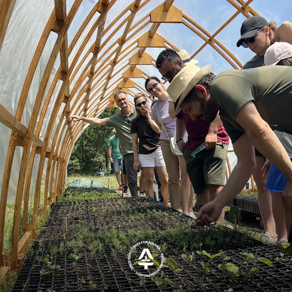 GreenAL, Korca Alpin and supporters of sustainable forestry in Voskpoojë’s tree nursery