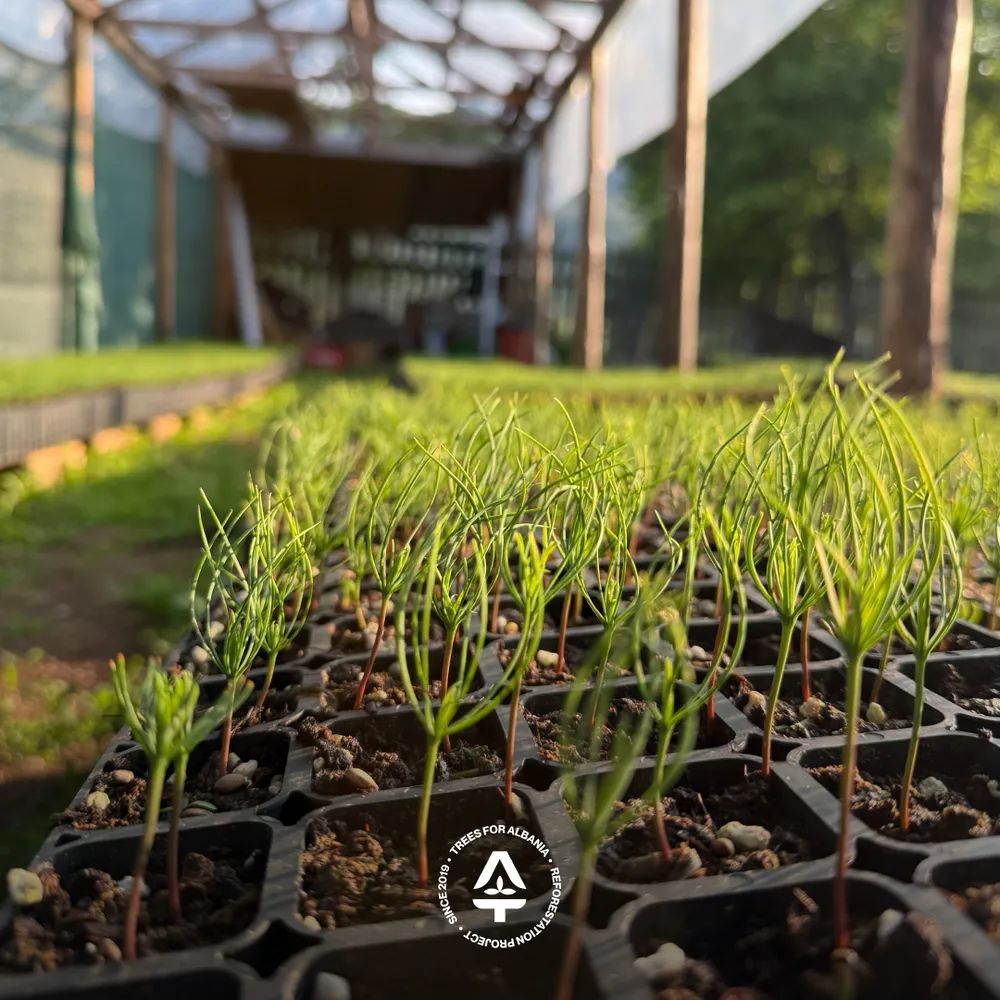 Soil and substrate mixing