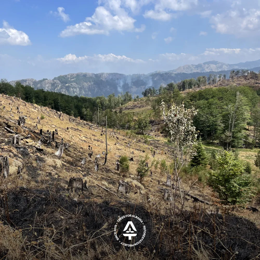 Partially burned steep terrain next to Liqeni i Luleve with overlooking active fires in the mountain in front