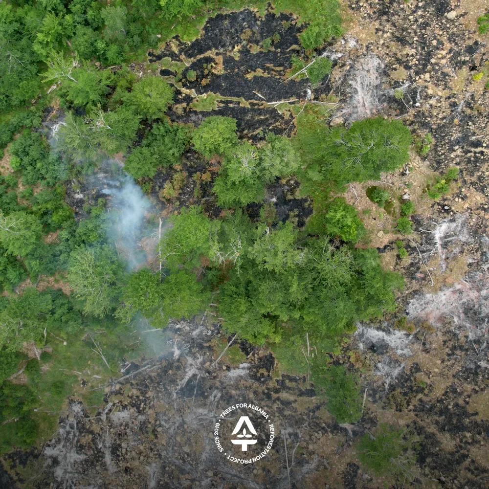 Burned grass area
