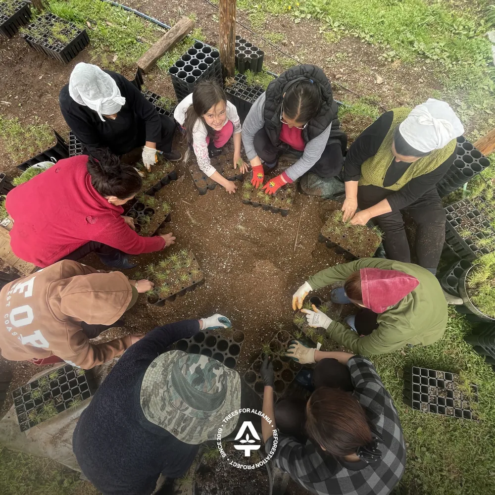 Soil and substrate mixing