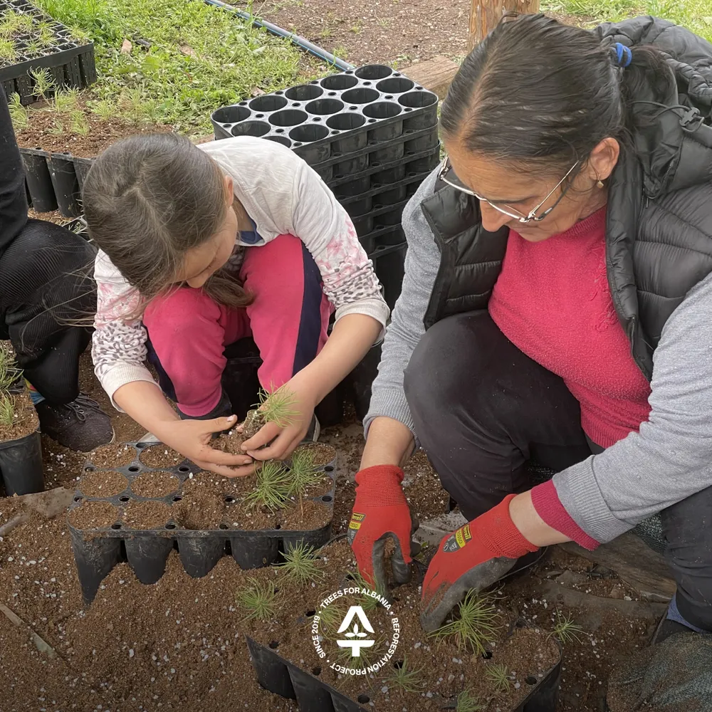 Soil and substrate mixing