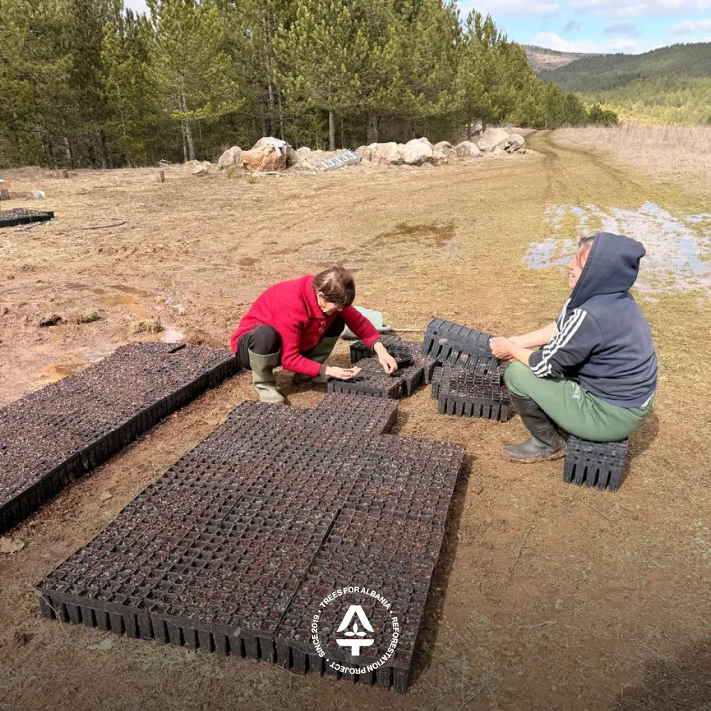 Seed planting by local community in Voskopojë