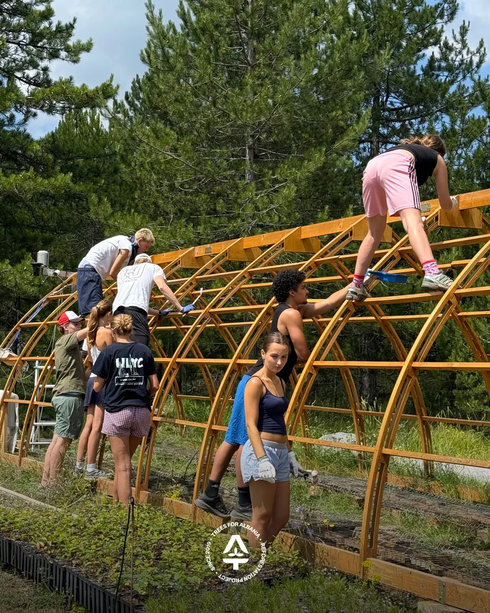 Applying the waterproofing paint to the greenhouse