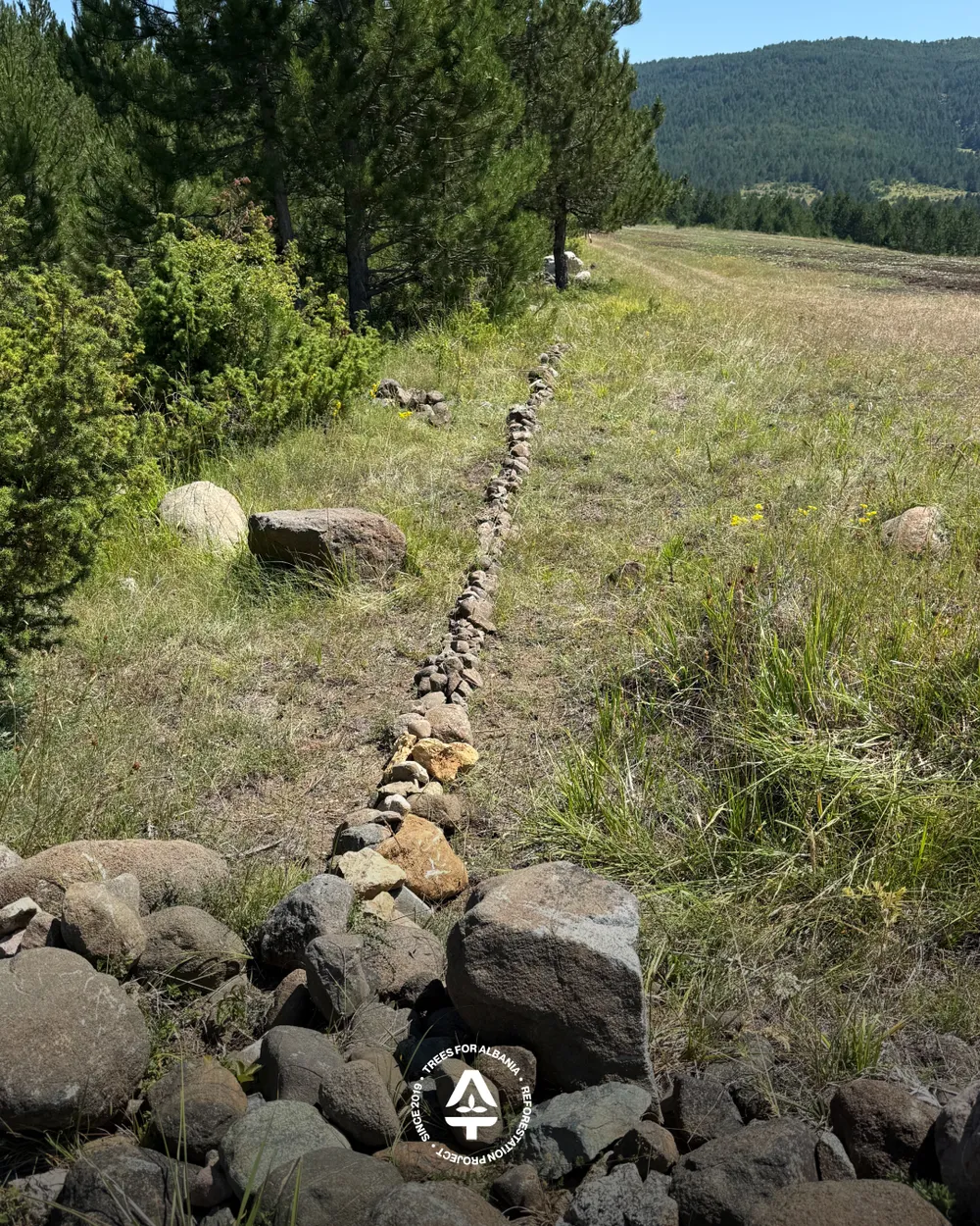 Covered pipe with stones to protect it from the sun and keep the water cool